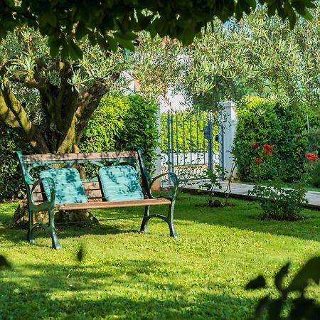 B&B Carmela Umag Exteriör bild
