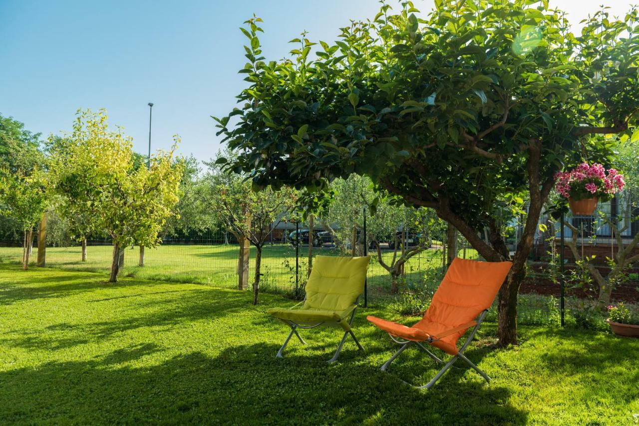 B&B Carmela Umag Exteriör bild