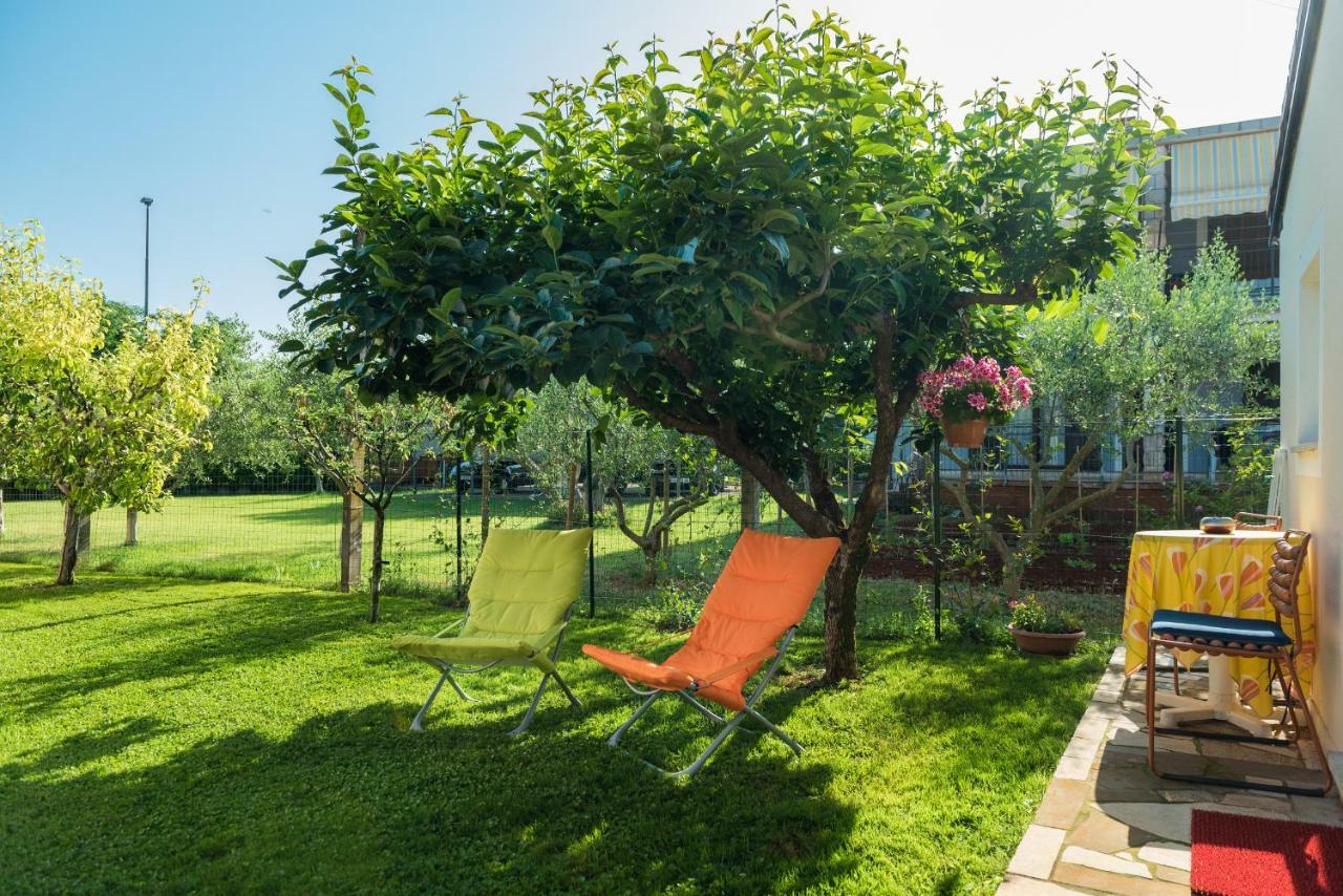 B&B Carmela Umag Exteriör bild